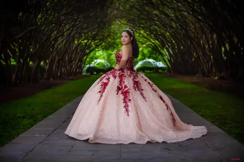 Quinceañera & XV Photography photography by Pichardo's