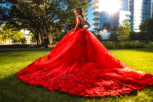 Quinceañera & XV Photography photography by Pichardo's