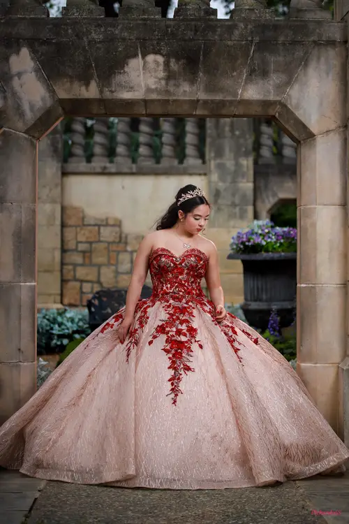 Quinceañera & XV Photography photography by Pichardo's