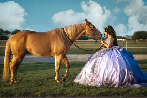 Quinceañera & XV Photography photography by Pichardo's
