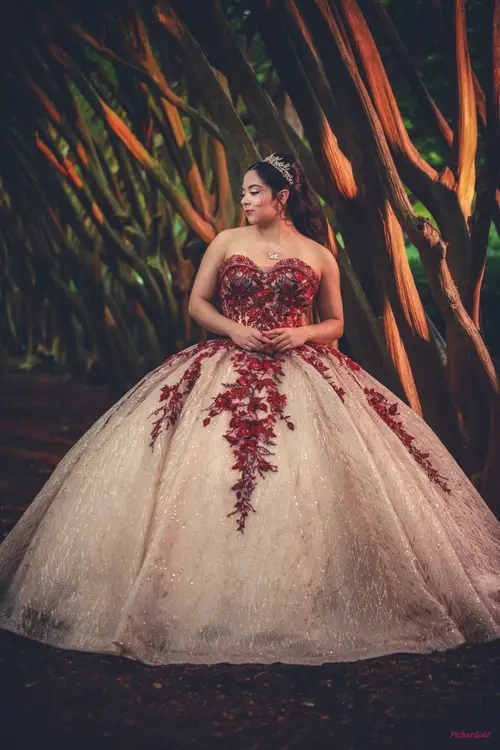 Quinceañera & XV Photography photography by Pichardo's